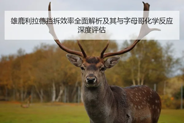 雄鹿利拉德挡拆效率全面解析及其与字母哥化学反应深度评估